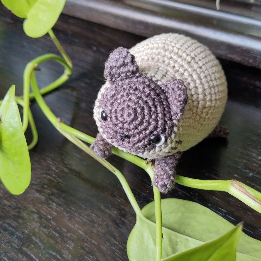The cat has its tiny front legs on a branch of an ivy-like indoor plant.
