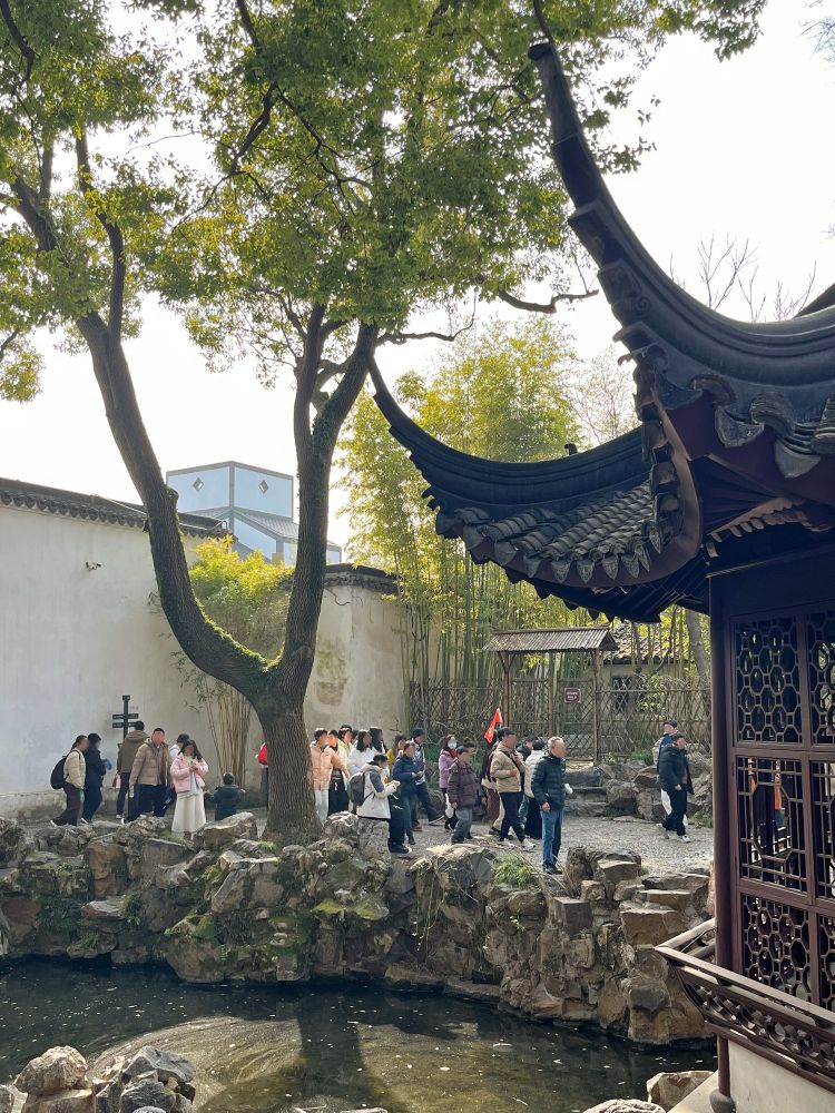 拙政園和蘇州博物館 Humble Administrator’s Garden (Zhuō Zhèng Yuán) and Suzhou Museum