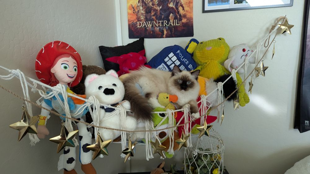A corner macrame hammock containing a large array of various stuffed toys. In the center is a brown and white cat with ice blue eyes, lounging amid the toys. 