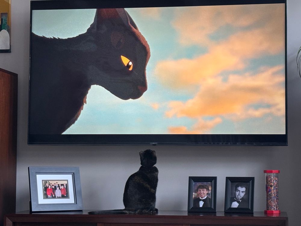 Family pet, small black cat sitting on the credenza looking up at the screen where a large animated cat appears to be looking down at the pet.