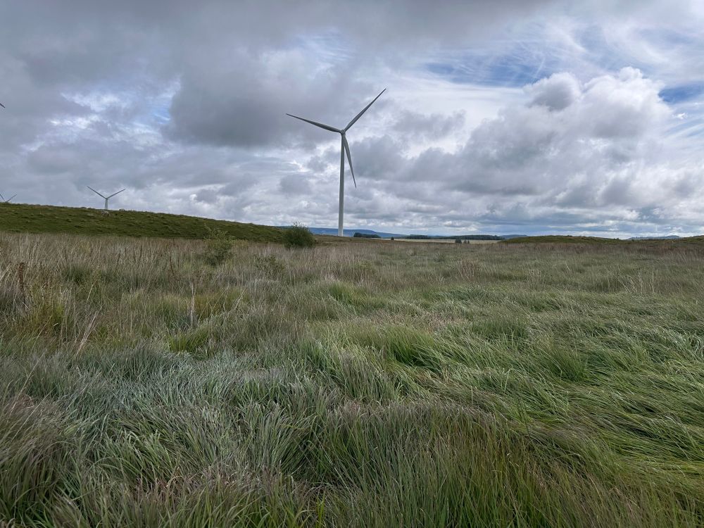 An upland peatland site in south Wales