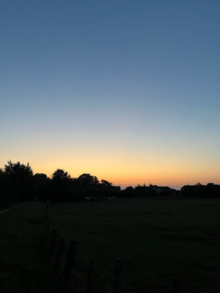 Coucher de soleil en campagne