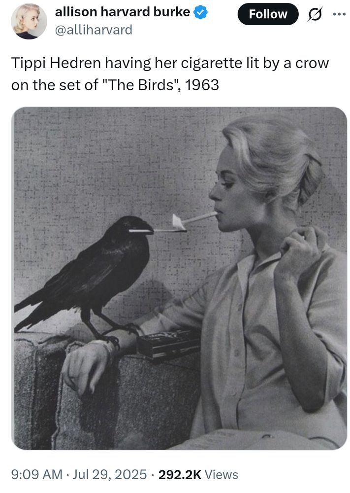 Tippi Hedren having her cigarette lit by a raven on the set of The Birds.