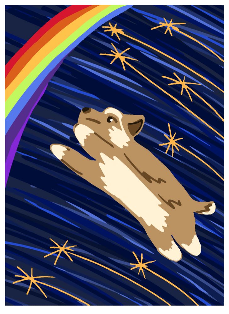 Small brown and cream dog on a blue background, leaping forward alongside a volley of shooting stars, a rainbow in the corner.