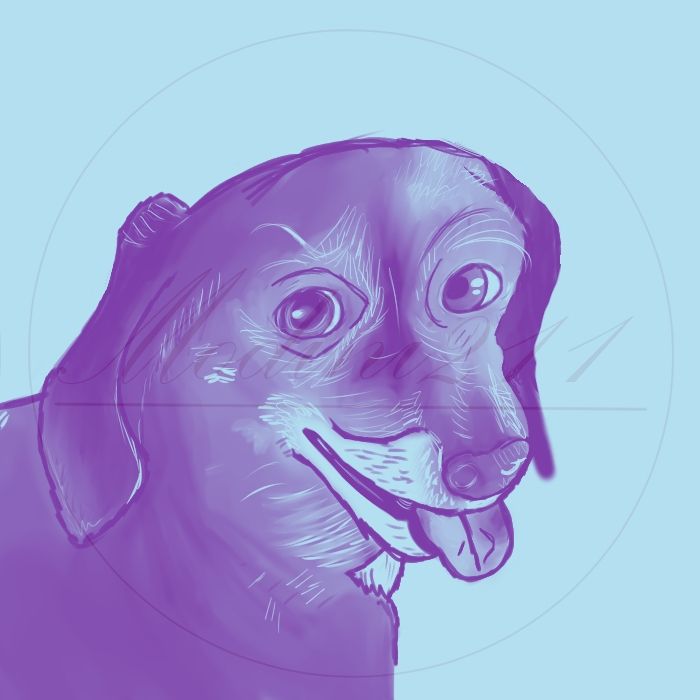 A dog in purple with a blue background
