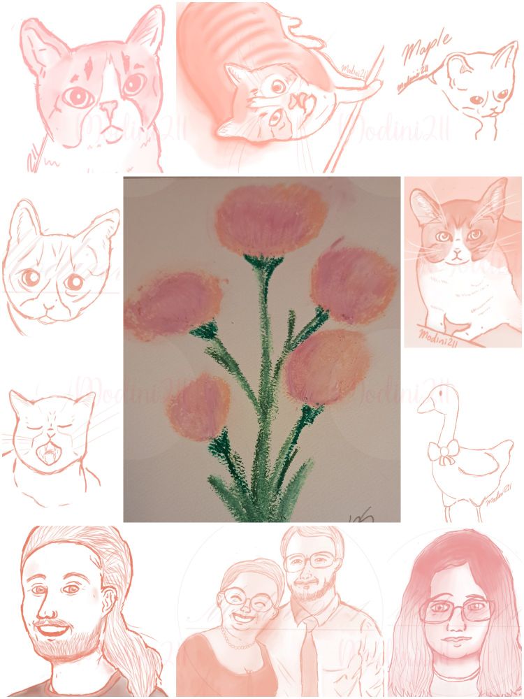 My pink era, composed of pictures of my cats, flowers, and people.