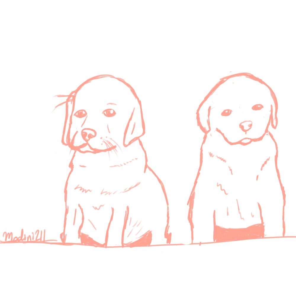 Two dogs I drew in pink ink today.