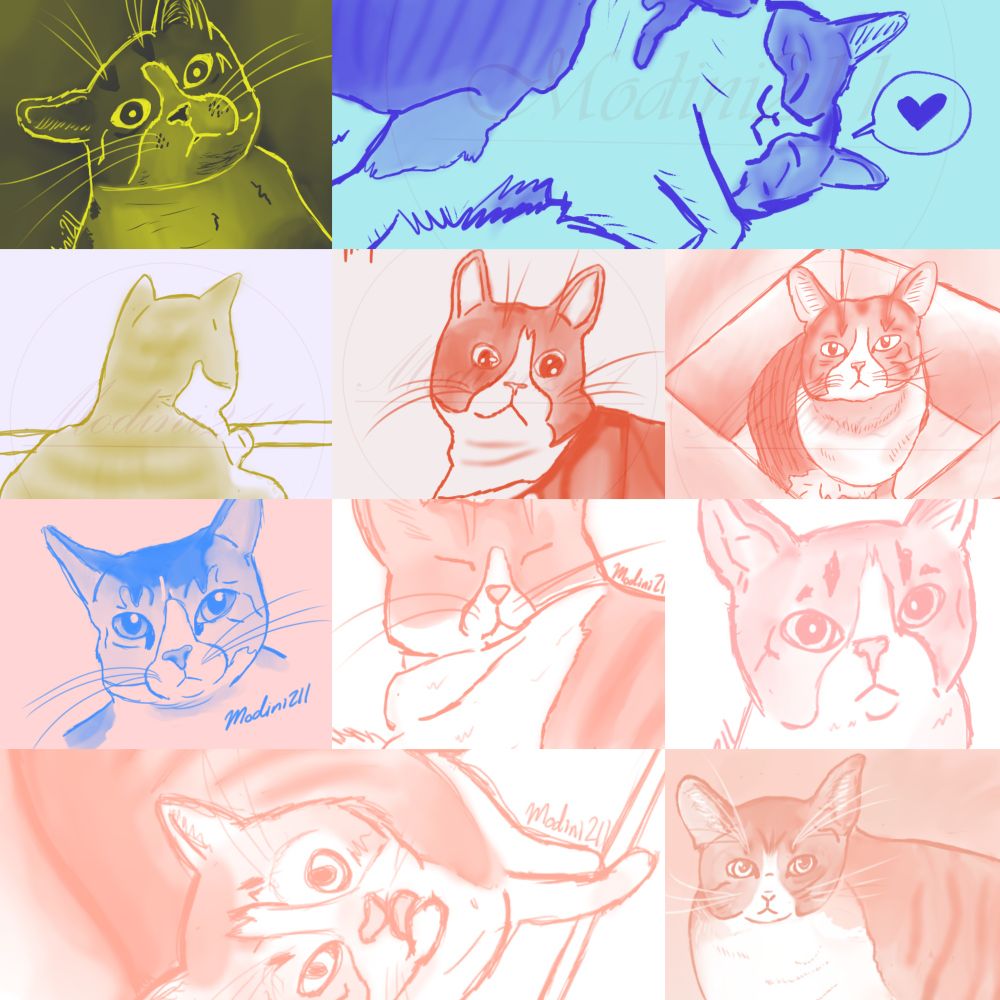 A collage of my cat Maple in various poses and expressions