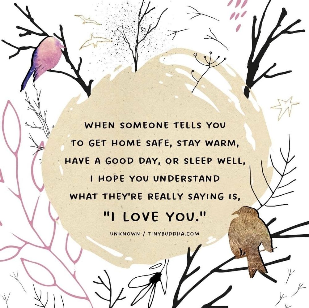 Birds perched on branches and a quote: When someone tells you to get home Safe, stay warm, have a good day or sleep well, they're actually saying I love you. 