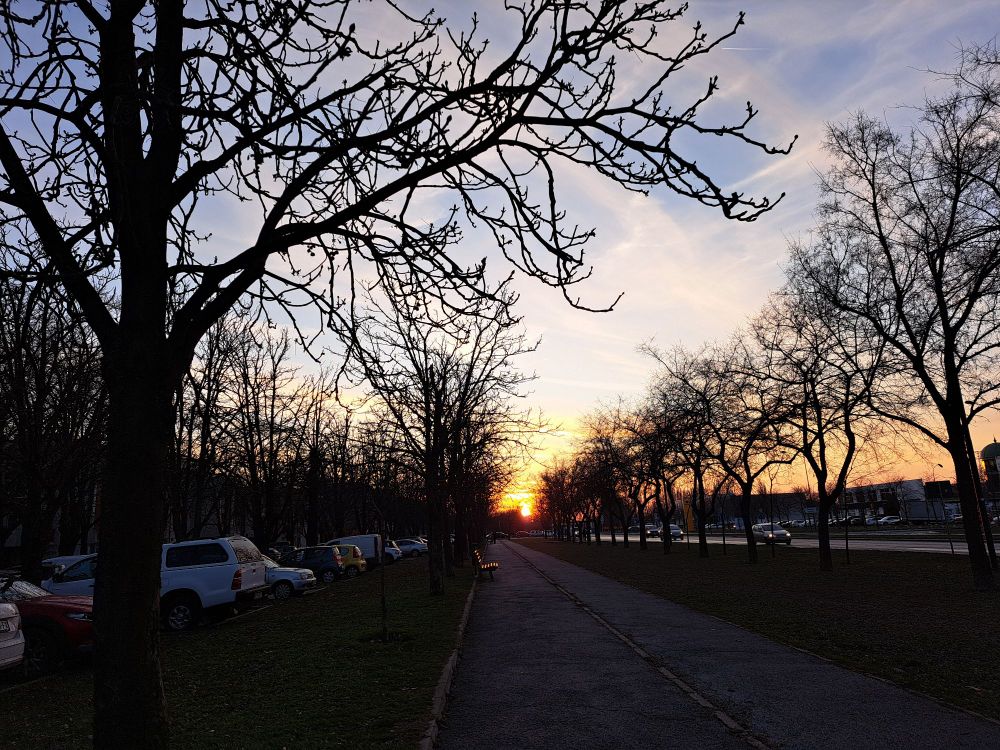 The golden hour, Sunset time. A line of trees in winter, bicycle path next to a walking path in between a parking space and the main road, and the sun setting in the horizon
