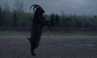 From the movie "The Witch," Black Philip (the goat) stands on his hind legs in a barren field.