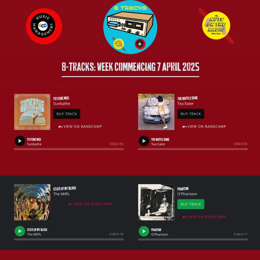 Screenshot of 8-tracks page