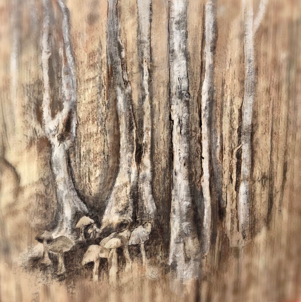 A tiny mushroom circle amongst tall thin trees in a woodland. Muted neutral colours and ink, painted over a woodgrain sample.