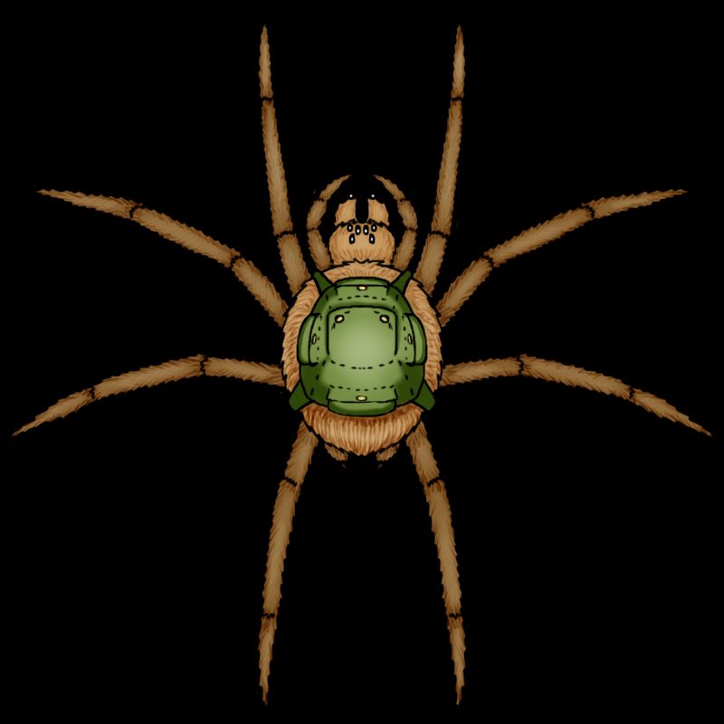 An overhead view of Boris the Spider.

Boris is a giant brown spider wearing a green backpack.