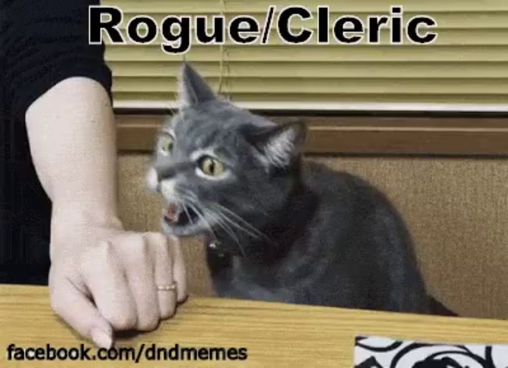 Rogue Funny Animals GIF