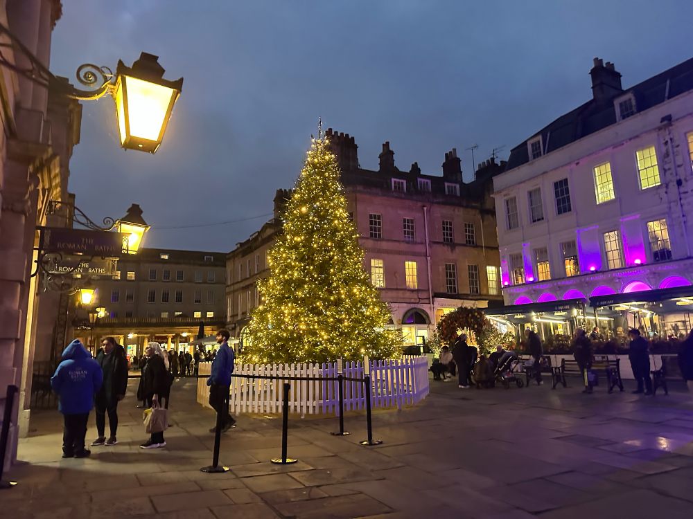Christmas tree in Bath