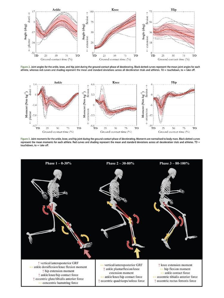 Image showing lower leg angles and moments during decelerations and a conceptual overview of loading in different phases. 