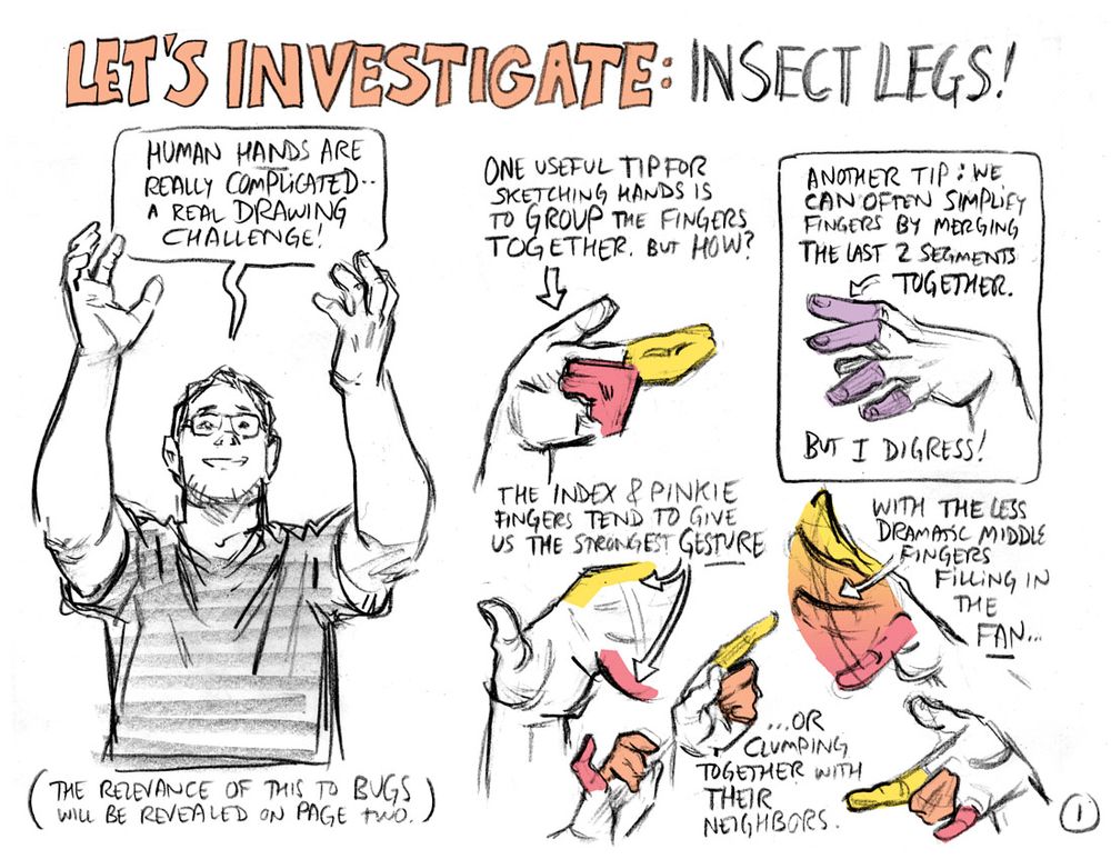 Let's Investigate: Insect Legs! In which we detour for some reason into talking about human hands.