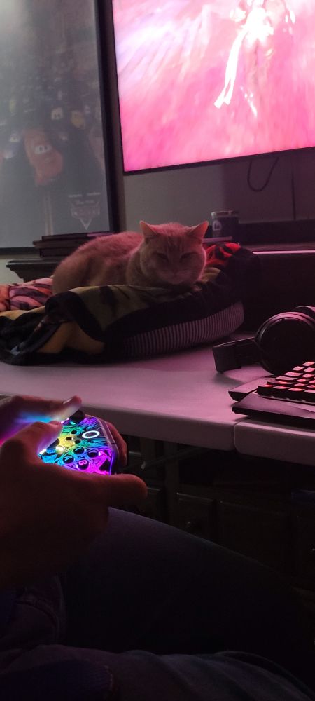 An orange cat laying in a cat bed lined with a fleece blanket looking towards his humans, a Cars movie poster, and the corner of a tv playing Expedition 33 on in the background. The nearer human is holding an RGB lit up controller, sitting back in the seat as he is not fighting the cat for control of the game for the first time in 10 minutes. 