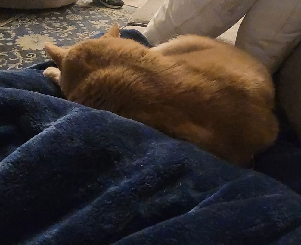 Orange cat laying on a blue blanket snug against his humans leg using a blanket covered foot as a pillow.