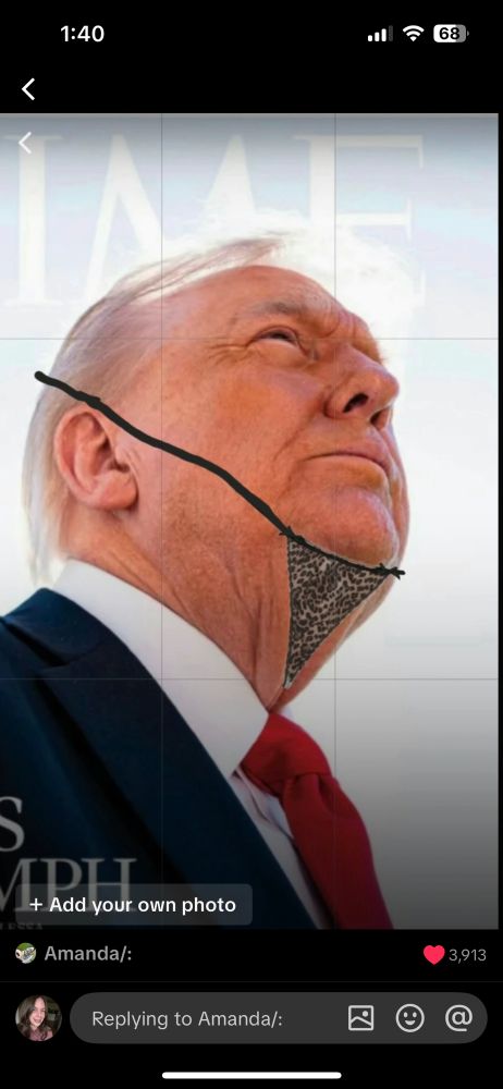 Trumps time magazine picture with a thong covering his neck vag.