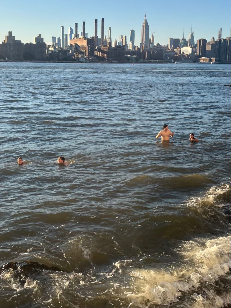 Four people swimming in the east river this evening with the Manhattan skyline behind them 