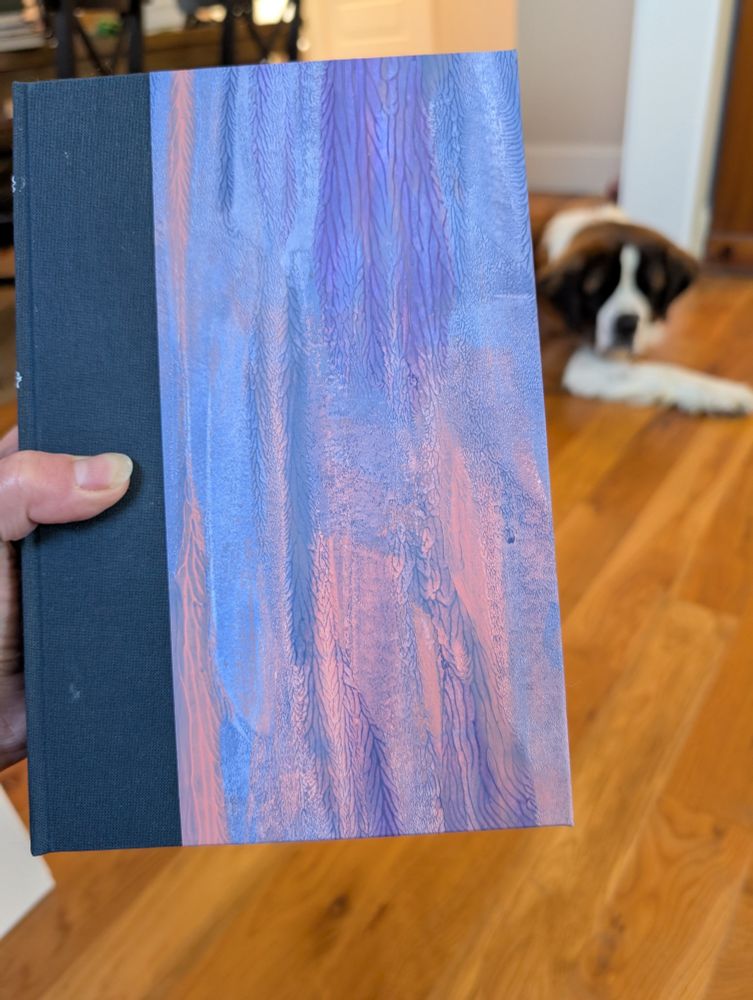 Quarter bound cover of book with navy cloth spine and paste paper. Paper is abstract color smears with lightning-like patterns in medium and dark blue, dusty pink, and violet. Mimics the color scheme of the US trade paperback cover illustration.
