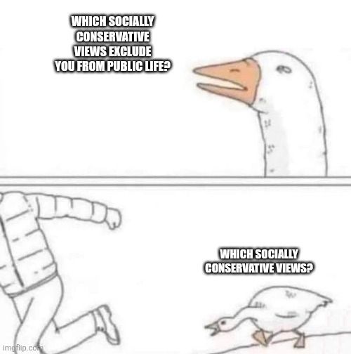 The questioning goose meme but for which socially conservative views