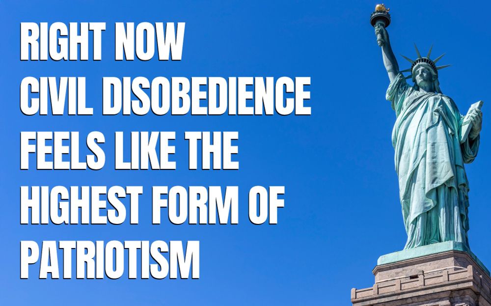 Photo of the Statue of Liberty with the following caption:
RIGHT NOW
CIVIL DISOBEDIENCE
FEELS LIKE THE
HIGHEST FORM OF
PATRIOTISM
