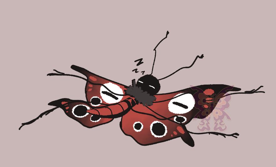 Image shows a sketchy illustration of a lanky butterfly sleeping on his back.