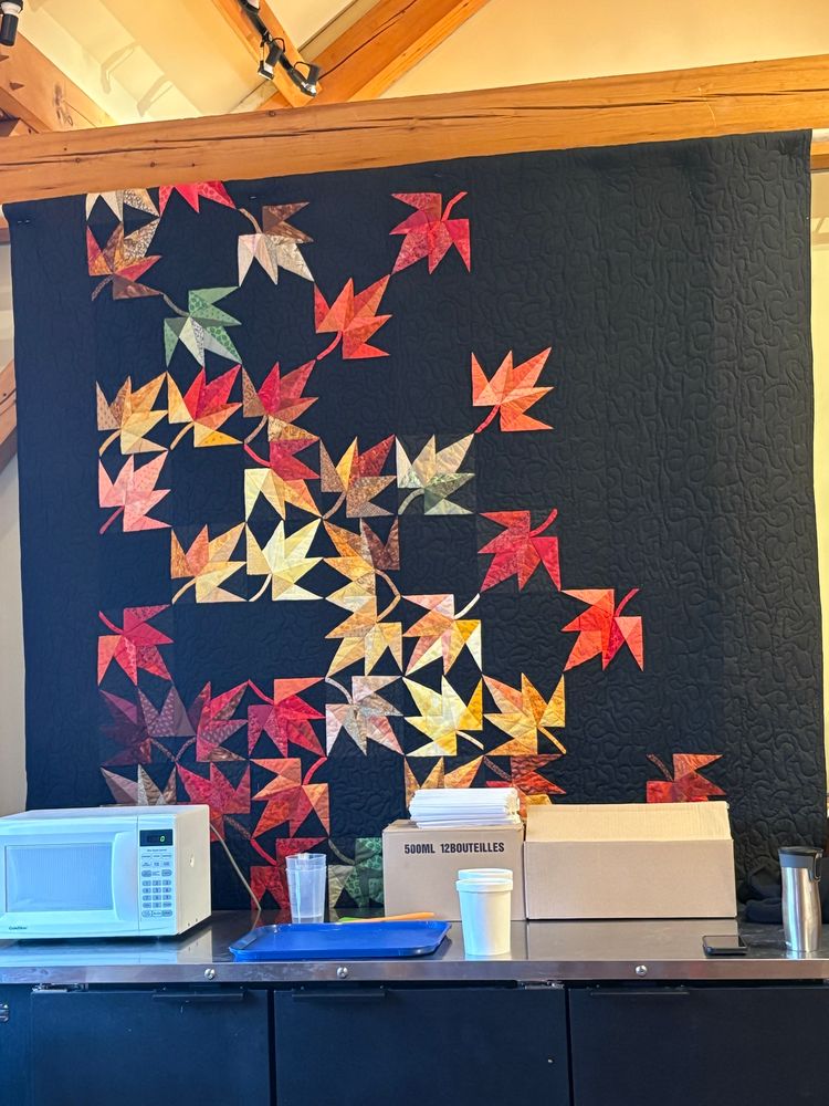 Beautiful quilt of fall colour maple leaves on a black background 