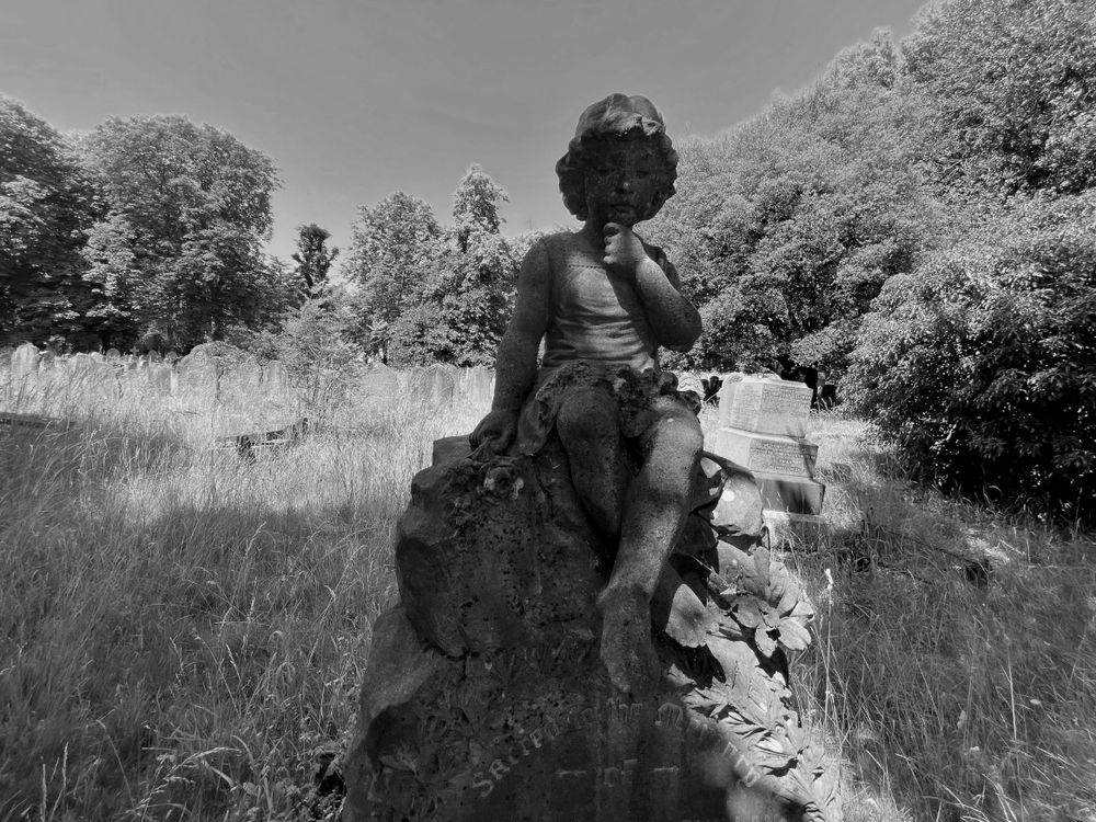 Post image (had no alt text on Bluesky)