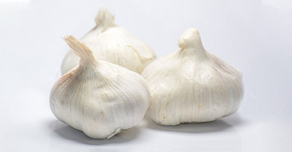 Tag des Knoblauchs - National Garlic Day und Garlic Lovers Day 2024