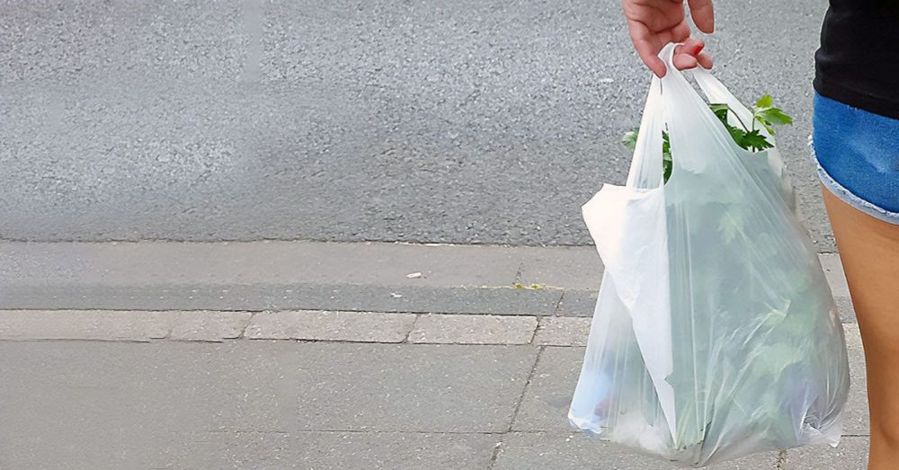 Plastiktütenfreier Tag - International Plastic Bag Free Day 2024