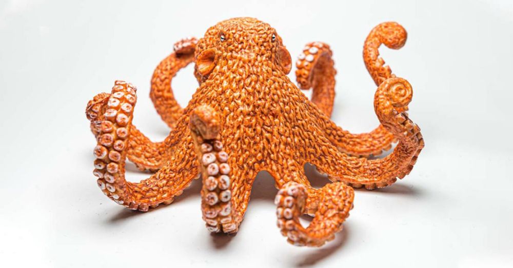 Welttag der Kraken - World Octopus Day - 8. Oktober