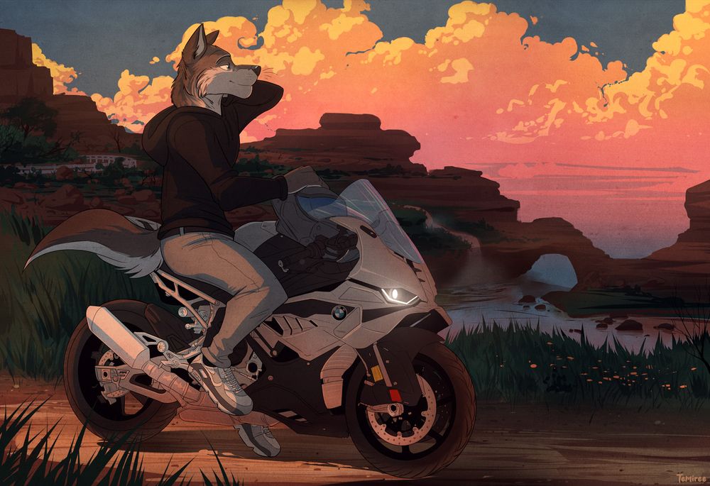 A handsome wolf sits on a 2025 BMW S 1000 RR motorcycle after having ridden along a dirt path for a while, having stopped and taken his helmet off. He's wearing a black hoodie, grey jeans, and grey Nike Air shoes as he rubs his neck, having worn the stuffy helmet for quite a while. He looks out over the scene, an arid desert with patches of green foliage, a waterfall, and rocky outcroppings that include an arch over an inlet from the ocean. The clouds in the background are vibrant yellow-to-orange-to-pink as they fade into the ocean's distance. It's dim enough for the headlights of the motorcycle to be turned on, and it looks as though the wolf is reminiscing, the scenery reminding him of home.