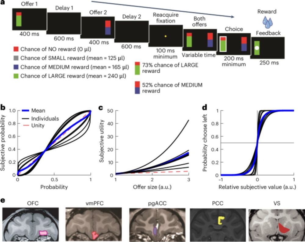 Semi-orthogonal subspaces for value mediate a binding and generalization trade-off - Nature Neuroscience