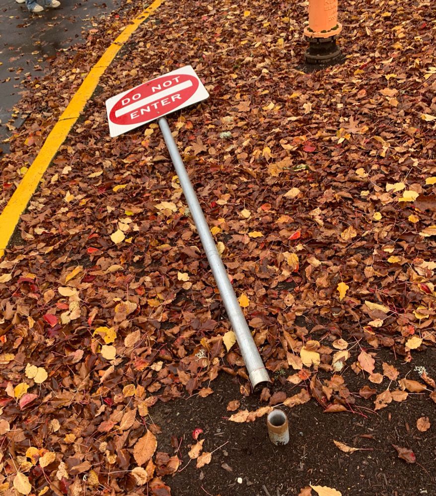 a "do not enter" laying sideways sign on a bed of leaves, it fell out from a small metal rod securing it in the ground 