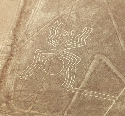 One of Nazca line geoglyphs in Peru. The spider. Image is of the desert from above and the line drawing of a spider carved into the ground is visible. 