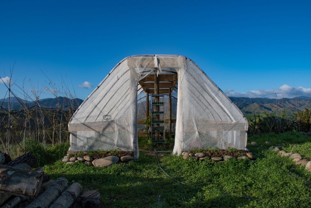 The outside view of the greenhouse. It is shaped like a tunnel with no front door and covered in a white bird netting over plastic