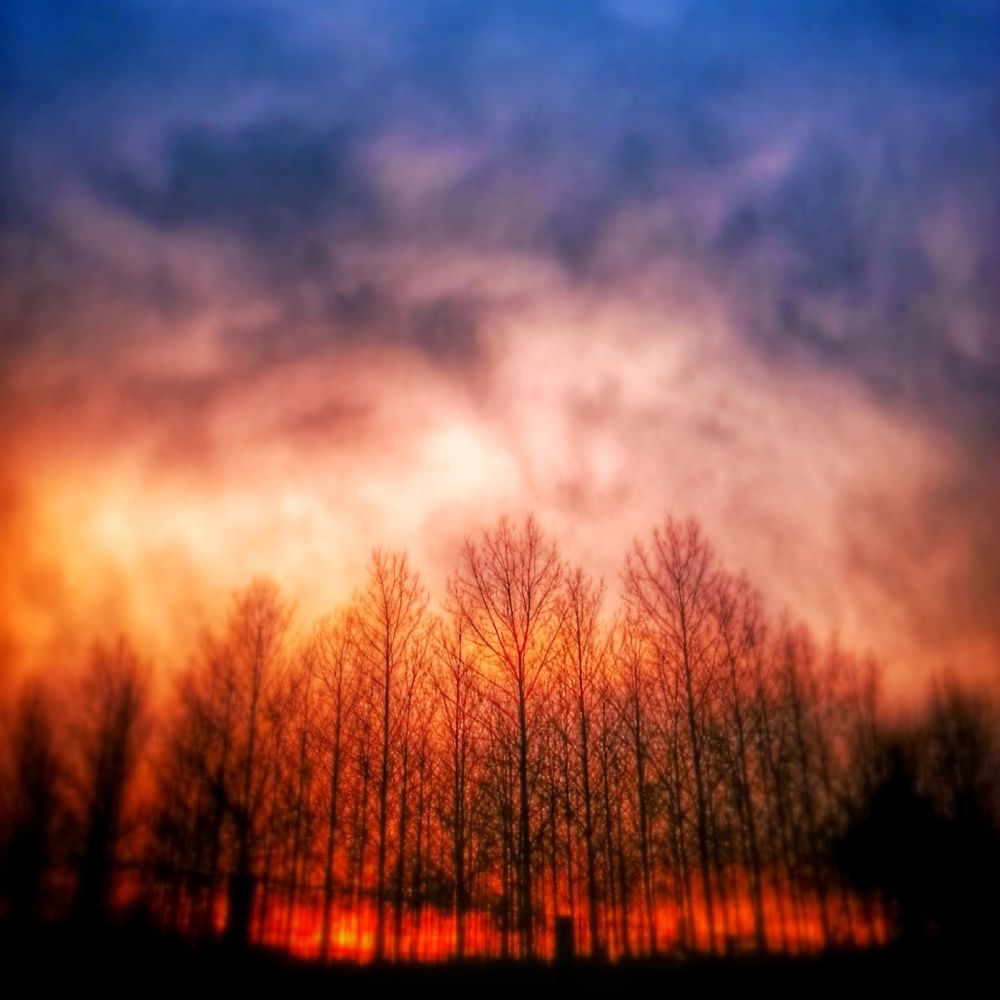 What I imagine a forest fire might be like, no offence to anyone who's been caught up in one. Really just a sunset behind the trees with a bit of editing.