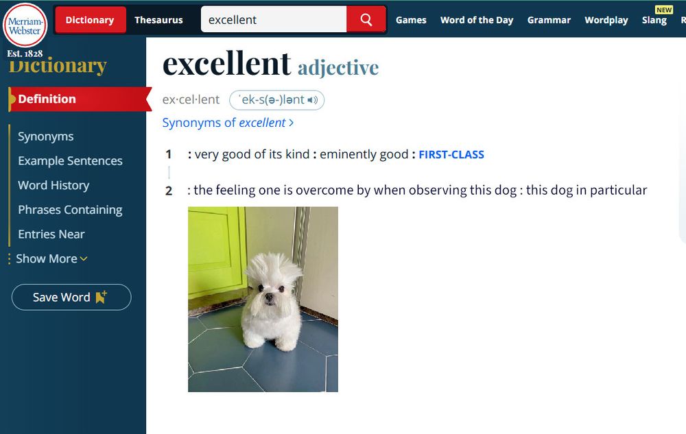 Comment image