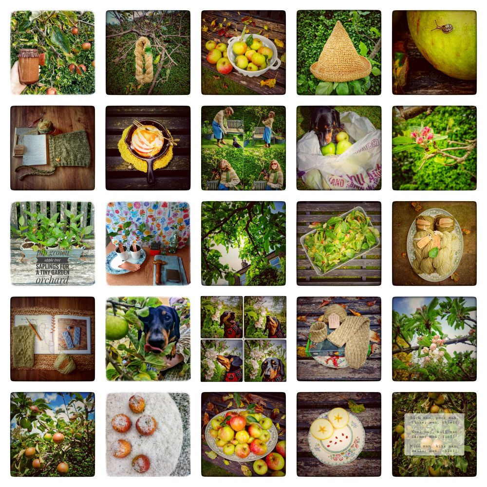 A montage of the tiny terrace garden apple tree featuring in many many forms with a good sprinkling of a small sausage dog thrown in! Knits, bakes, crochets, snails, dyes, saplings - the twisty little apple tree is very loved!