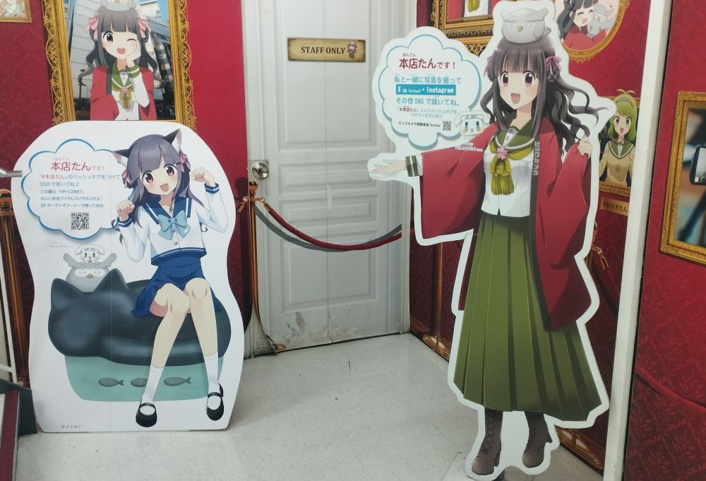 池袋本店の本店たん。
地下1階の一角にブースが設けられていて、会いやすい娘です。
ビックカメラの歌にもフクロウが出てきますが、本店たんもフクロウを載せています。

最近猫イヤホンとコラボで、いろんなお店で猫耳のビッカメ娘パネルが設置されています。本店たんも……！