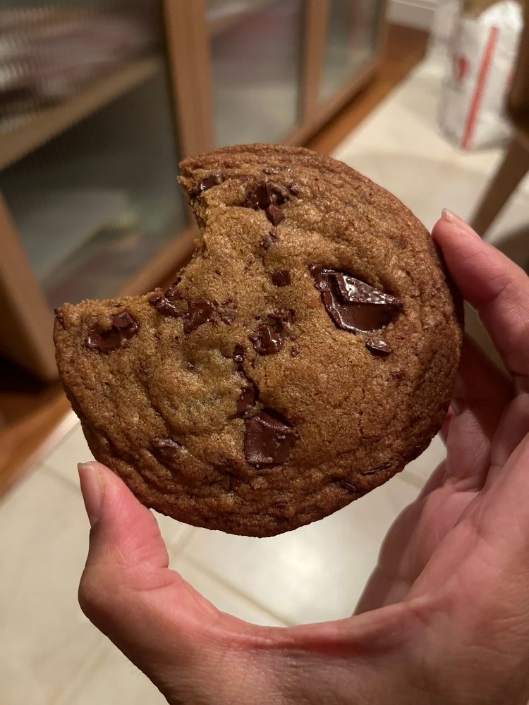chocolate chip cookie with a bite mark