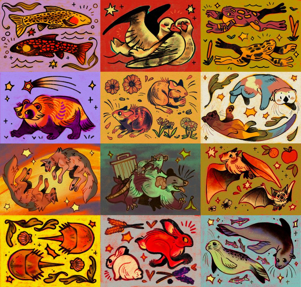 A collage drawing of a bunch of various animals on brightly colored backgrounds, including trout, albatrosses, frogs, otters, seals, & more.
