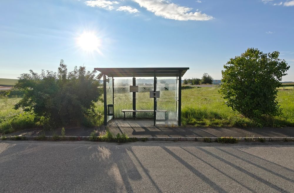 Bus Stop in the morning light with shadows
