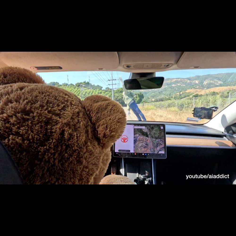 Tech activist says his 'teddy bear test' proves Teslas are too lethal to be on the road