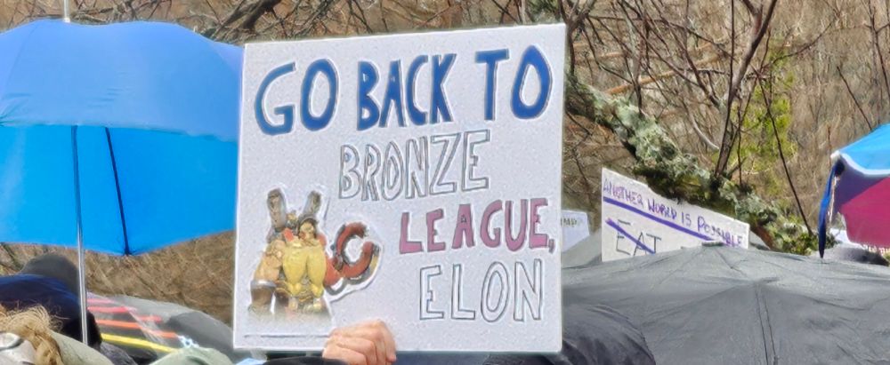 A sign held at a 50501 protests that says "Go Back To Bronze League, Elon" with a picture of Trobjörn from Overwatch