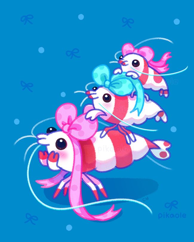 Three CRS (Crystal red shrimp - Freshwater shrimp) of different sizes are tying ribbons to each other. The largest shrimp are actually about 1.5 inches long, so.... very, very small ribbons. A happy and bright atmosphere.